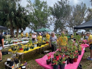 People browsing for plants at the Garden Club of Cape Coral March in the Park plant sale